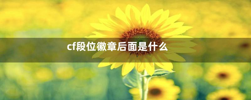 cf段位徽章后面是什么