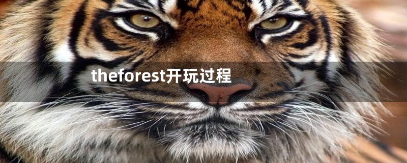 theforest开玩过程