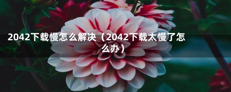 2042下载慢怎么解决（2042下载太慢了怎么办）