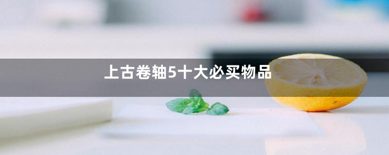 上古卷轴5十大必买物品