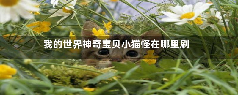 我的世界神奇宝贝小猫怪在哪里刷