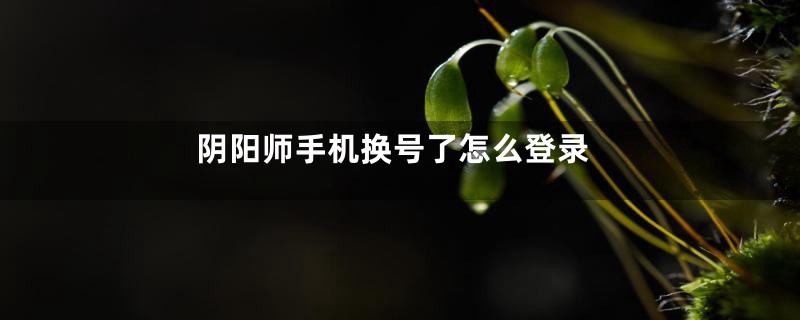 阴阳师手机换号了怎么登录