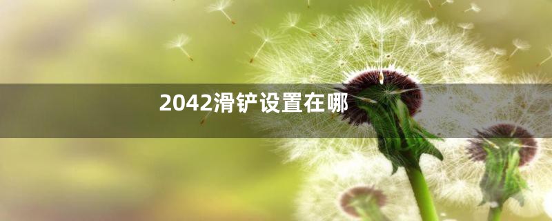 2042滑铲设置在哪