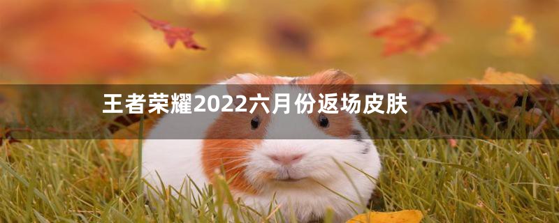 王者荣耀2022六月份返场皮肤