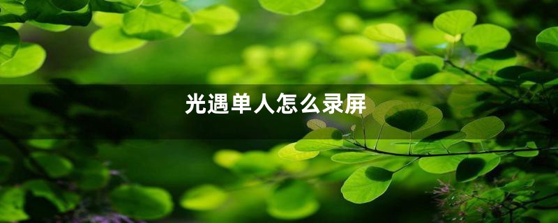 光遇单人怎么录屏