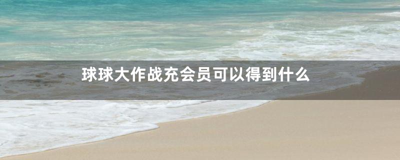 球球大作战充会员可以得到什么