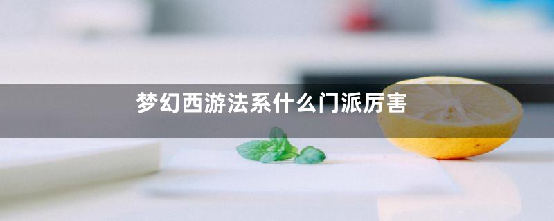 梦幻西游法系什么门派厉害