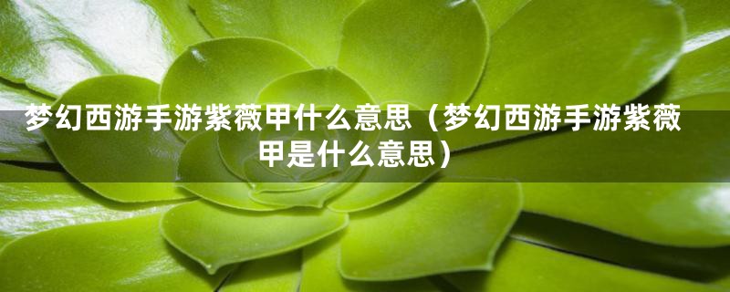 梦幻西游手游紫薇甲什么意思（梦幻西游手游紫薇甲是什么意思）