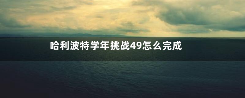 哈利波特学年挑战49怎么完成