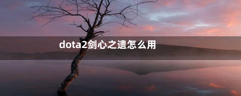 dota2剑心之遗怎么用