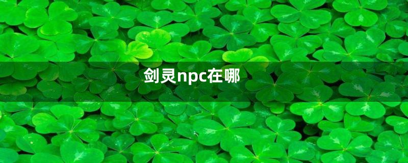 剑灵npc在哪