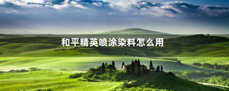 和平精英喷涂染料怎么用