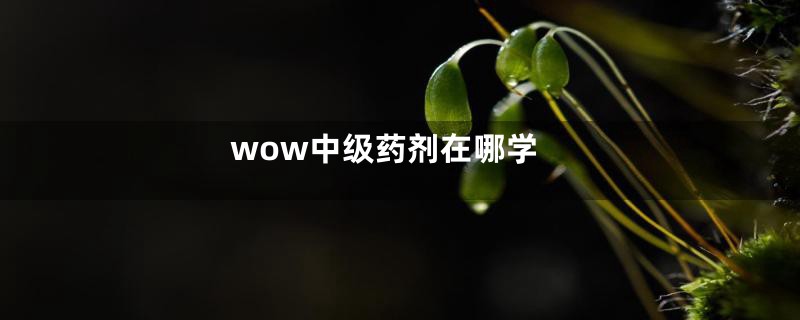 wow中级药剂在哪学