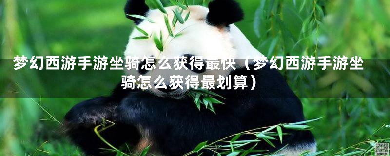 梦幻西游手游坐骑怎么获得最快（梦幻西游手游坐骑怎么获得最划算）