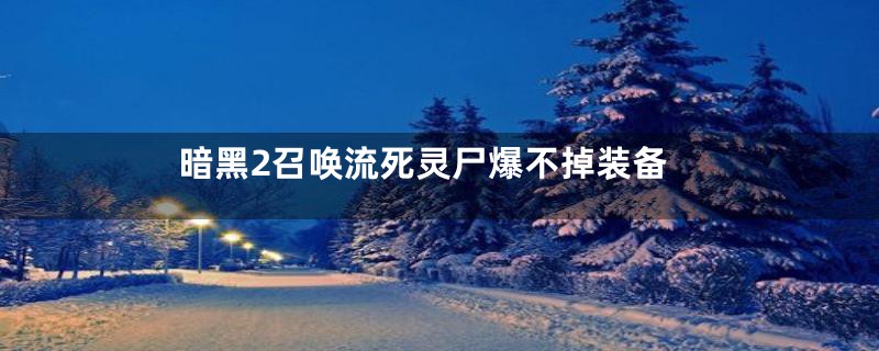 暗黑2召唤流死灵尸爆不掉装备