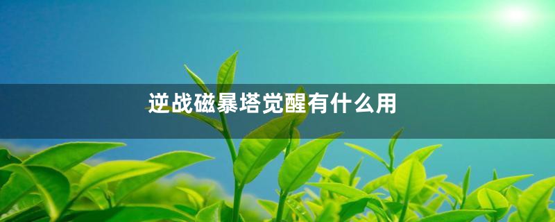 逆战磁暴塔觉醒有什么用