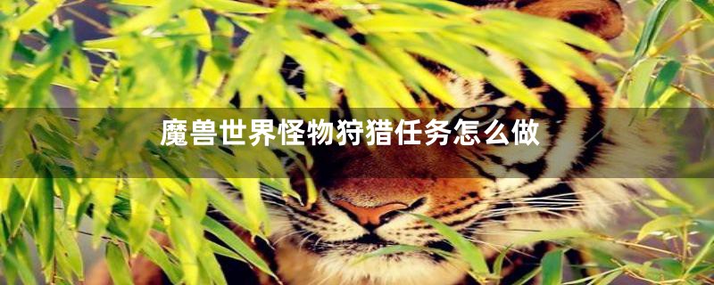 魔兽世界怪物狩猎任务怎么做