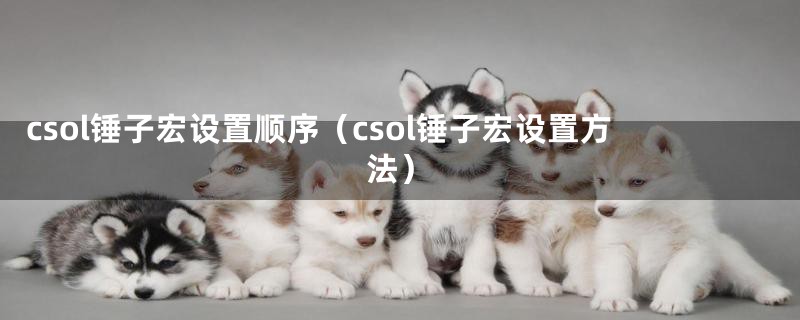 csol锤子宏设置顺序（csol锤子宏设置方法）