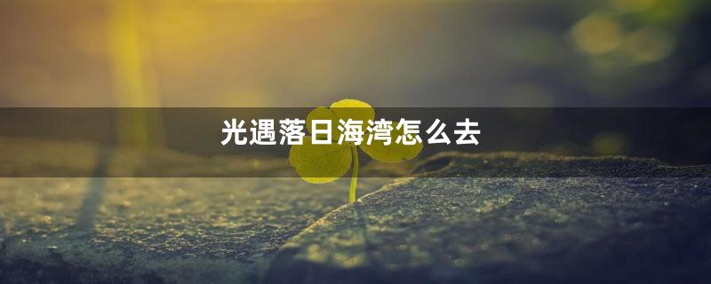 光遇落日海湾怎么去