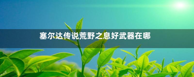 塞尔达传说荒野之息好武器在哪