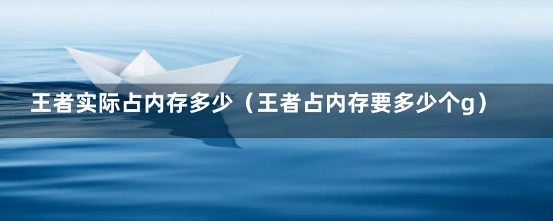 王者实际占内存多少（王者占内存要多少个g）