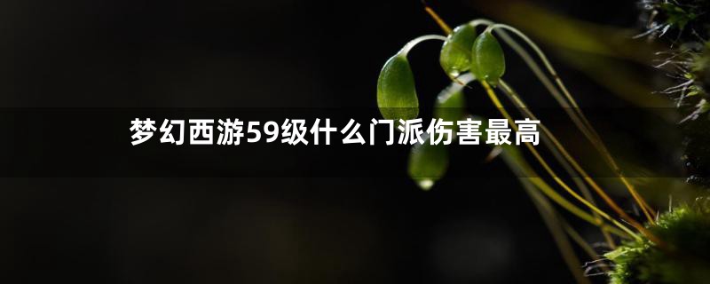 梦幻西游59级什么门派伤害最高