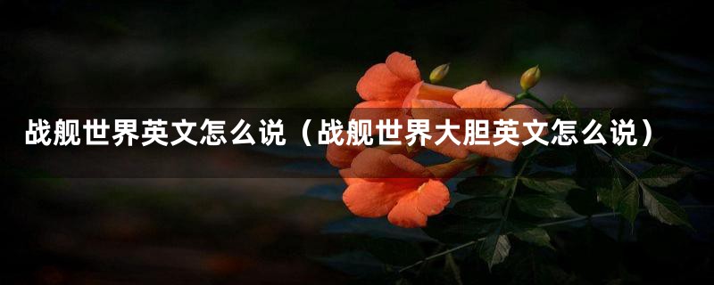 战舰世界英文怎么说（战舰世界大胆英文怎么说）