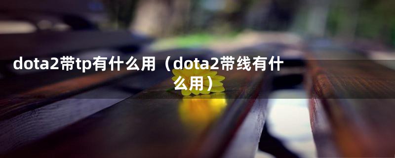 dota2带tp有什么用（dota2带线有什么用）