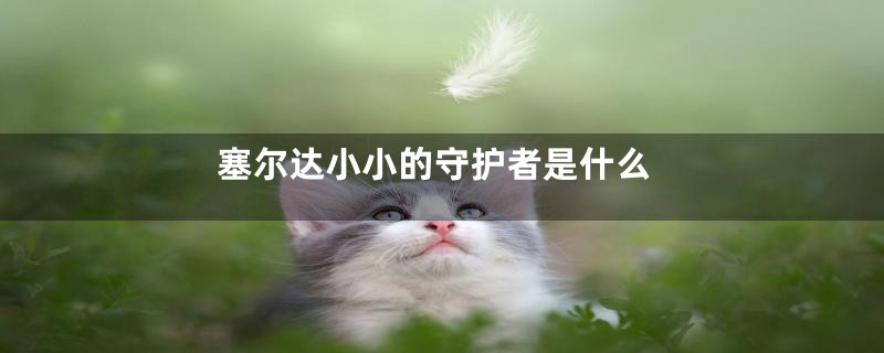 塞尔达小小的守护者是什么