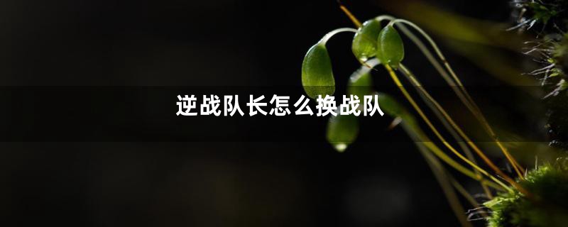 逆战队长怎么换战队