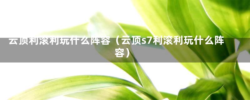 云顶利滚利玩什么阵容（云顶s7利滚利玩什么阵容）