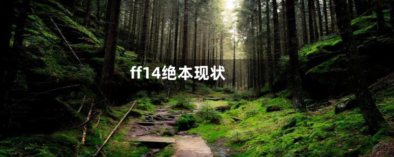 ff14绝本现状