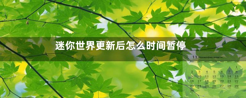 迷你世界更新后怎么时间暂停