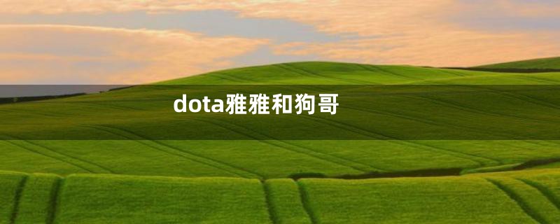 dota雅雅和狗哥