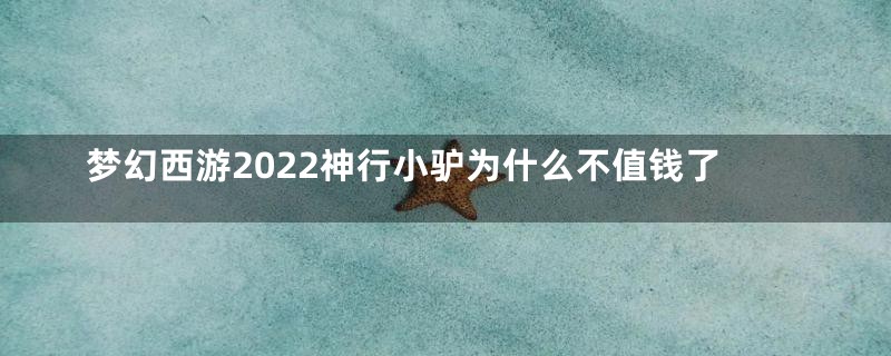 梦幻西游2022神行小驴为什么不值钱了