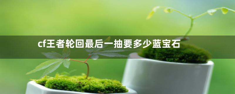 cf王者轮回最后一抽要多少蓝宝石