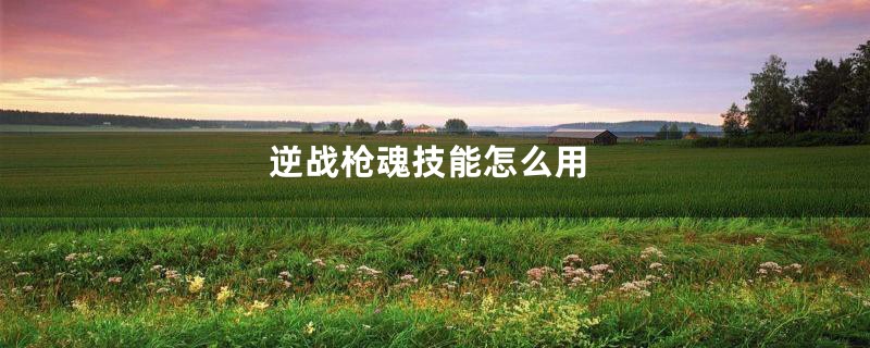 逆战枪魂技能怎么用