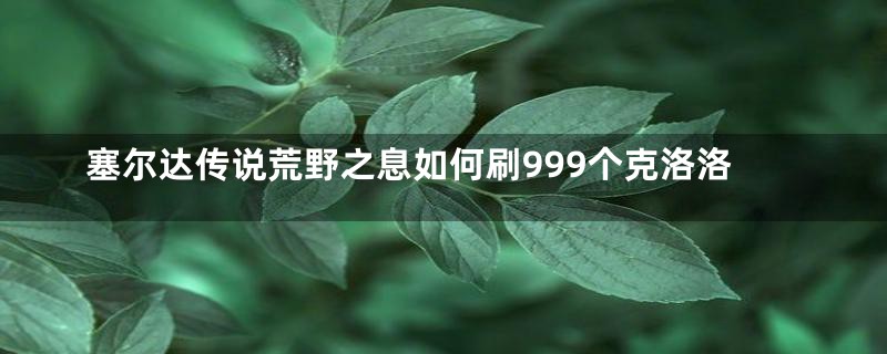 塞尔达传说荒野之息如何刷999个克洛洛