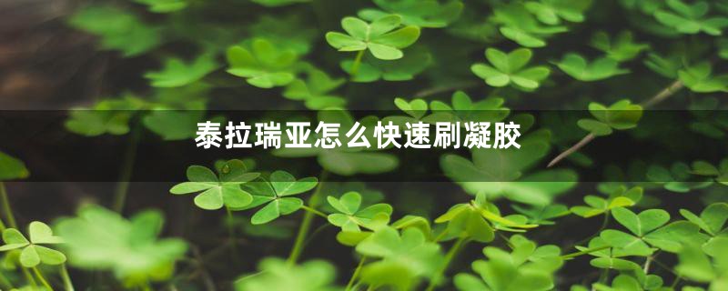 泰拉瑞亚怎么快速刷凝胶