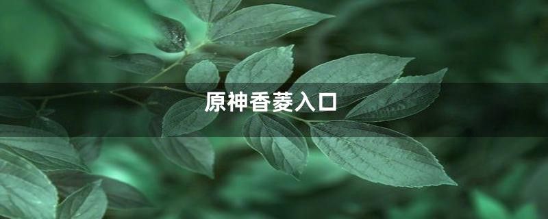 原神香菱入口