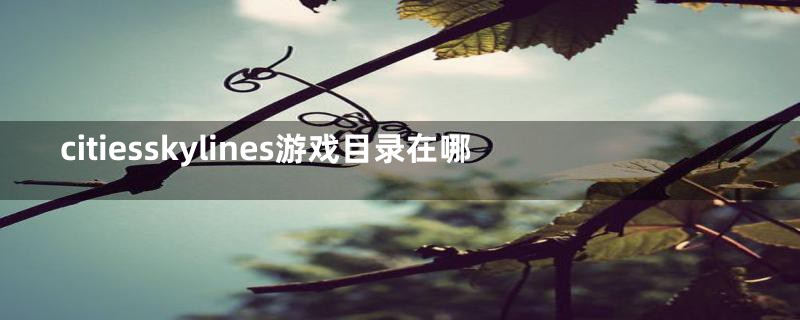 citiesskylines游戏目录在哪