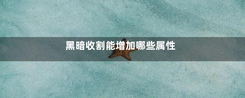 黑暗收割能增加哪些属性