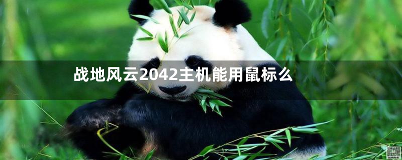 战地风云2042主机能用鼠标么