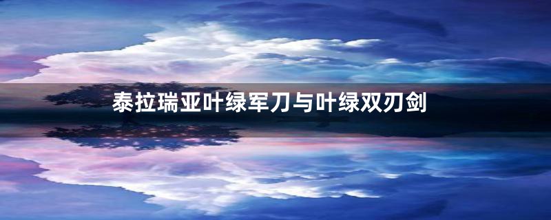 泰拉瑞亚叶绿军刀与叶绿双刃剑