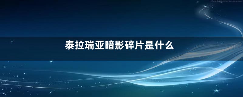 泰拉瑞亚暗影碎片是什么