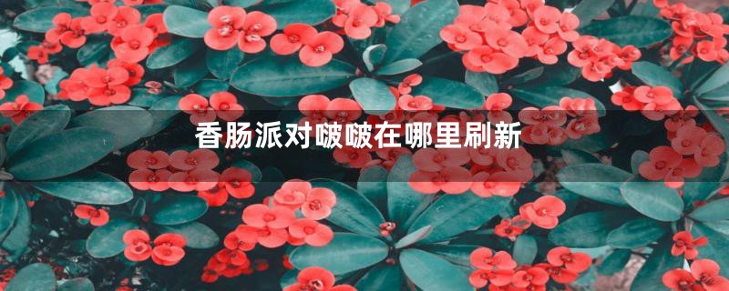 香肠派对啵啵在哪里刷新