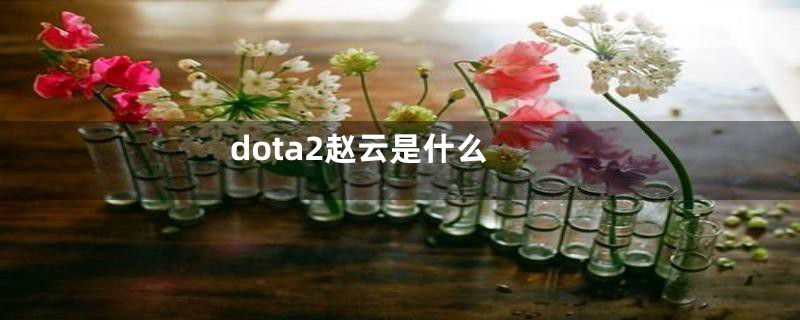 dota2赵云是什么