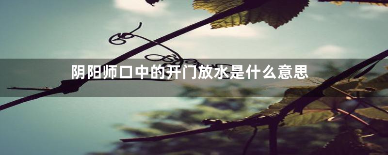 阴阳师口中的开门放水是什么意思