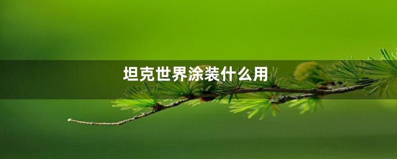 坦克世界涂装什么用