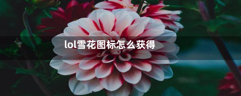 lol雪花图标怎么获得